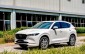 Doanh số xe gầm cao hạng C tháng 5/2026: CX-5 giữ ngôi đầu, Territory và Destinator bám sát phía sau